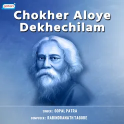 Chokher Aloye Dekhechilam