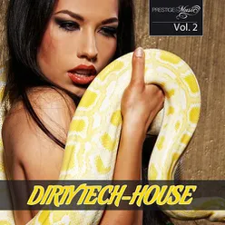 Dirty Tech House, Vol. 2