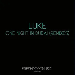 One Night in Dubai Stefan F.  Remix