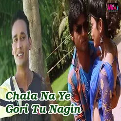 Chala Na Ye Gori Tu Nagin