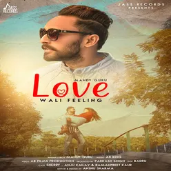 Love Wali Feeling