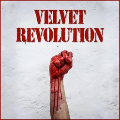 Velvet Revolution