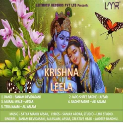 Krishna Leela