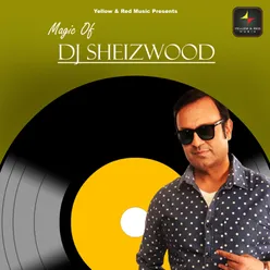 Magic Of Dj Sheizwood