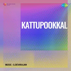 Kaattupookkal