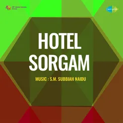 Hotel Sorgam