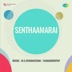 Senthamarai