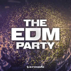 The EDM Party