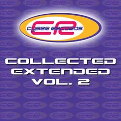 Cyber Records: Collected Extended, Vol. 2