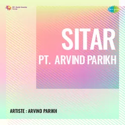 Sitar Pt Arvind Parikh
