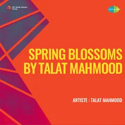 Spring Blossoms By Talat Mahmood