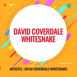 David Coverdale Whitesnake