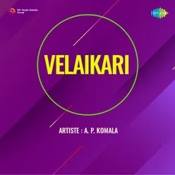 Velaikari