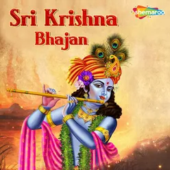 Sri Krishna Bhajan