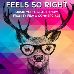 Feels So Right: Music You Already Know from TV, Film & Commercials