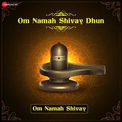 Om Namah Shivay Dhun