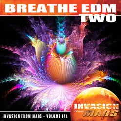 Breath EDM, Vol. 2