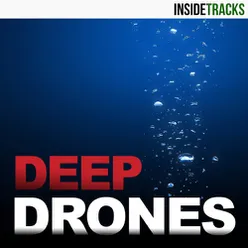 Deep Drones