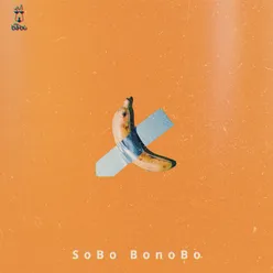 Sobo Bonobo