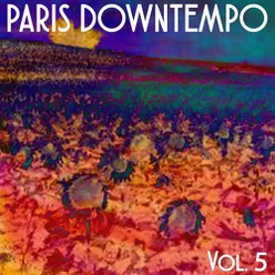 Paris Downtempo, Vol. 5