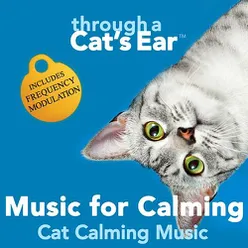 Music For Calming: Cat Calming Music