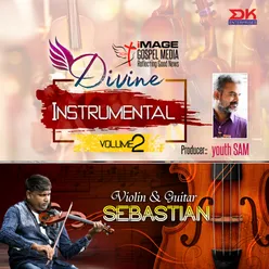 Nalliravil Vanthuthitha - Violin