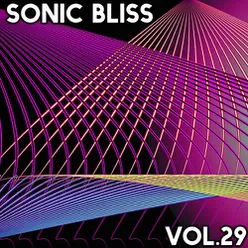 Sonic Bliss, Vol. 29