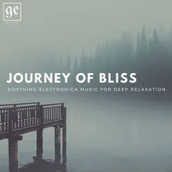 Journey of Bliss: Soothing Electronica Music for Deep Relaxation