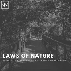 Laws of Nature: Music for Stress Relief and Anger Management