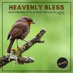 Heavenly Bless - Meditation Music for Oil Massage, Ayurveda and Healing, Vol. 11