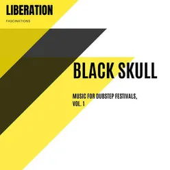 Black Skull - Music for Dubstep Festivals, Vol. 1