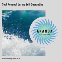 Soul Renewal during Self Quarantine: Peaceful Calming Music, Vol. 9