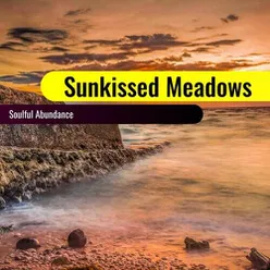 Sunkissed Meadows: Soulful Abundance