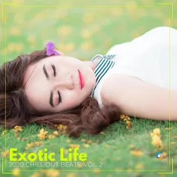 Exotic Life: 2020 Chill Out Beats, Vol. 2