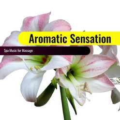 Aromatic Sensation: Spa Music for Massage