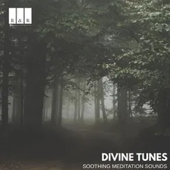 Divine Tunes: Soothing Meditation Sounds