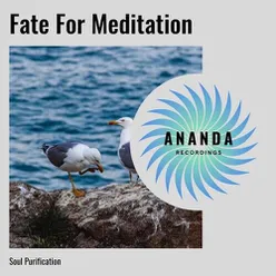 Fate For Meditation: Soul Purification