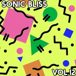 Sonic Bliss, Vol. 12