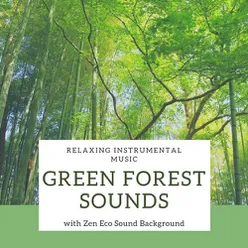 Green Forest Sounds: Relaxing Instrumental Music with Zen Eco Sound Background