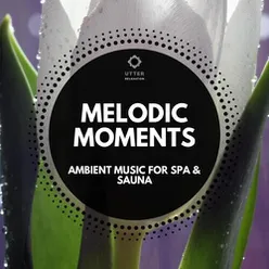 Melodic Moments: Ambient Music for Spa & Sauna