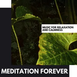 Meditation Forever: Music for Relaxation and Calmness