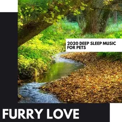 Furry Love: 2020 Deep Sleep Music for Pets