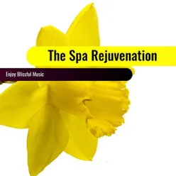 The Spa Rejuvenation: Enjoy Blissful Music