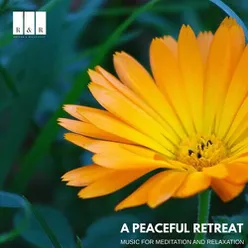 A Peaceful Retreat: Music for Meditation and Relaxation