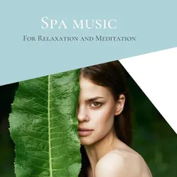 Spa Music for Relaxation and Meditation: Babbling Brook Sounds to Help You Relax