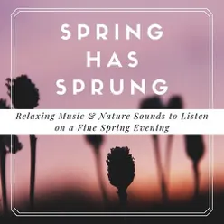 Spring Has Sprung: Relaxing Music & Nature Sounds to Listen on a Fine Spring Evening