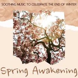 Spring Awakening: Soothing Music to Celebrate the End of Winter