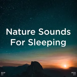 !!" Nature Sounds For Sleeping "!!