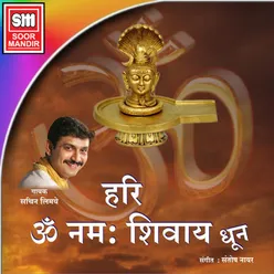 Hari Om Namah Shivay