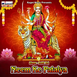 Neem Ke Pataiya